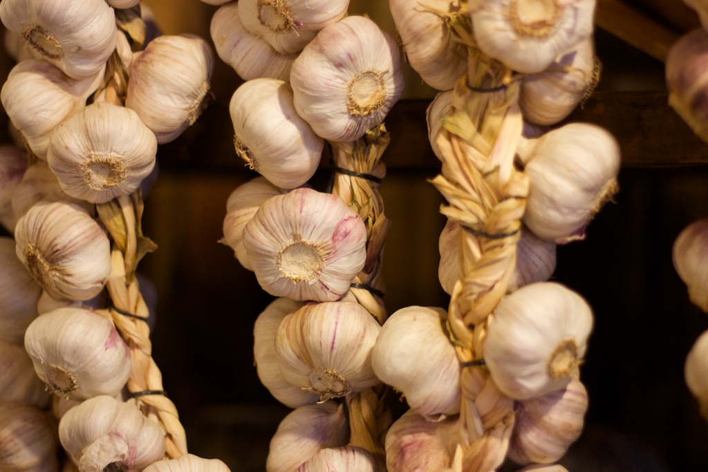 garlic bulbs, garlic cloves, garlic, penny woodward, australian garlic