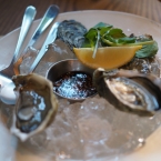 oysters, city wine shop, review