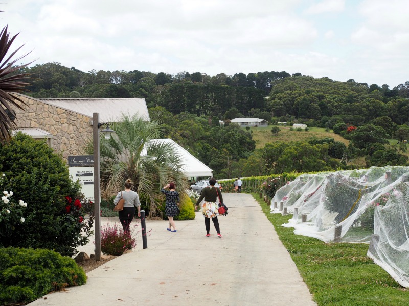 paringa estate, mornington peninsula, wine tasting, wine tour